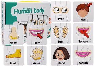 Пазл Части тела, 10 рисунков, на английском языке цена и информация | Развивающие игрушки | kaup24.ee