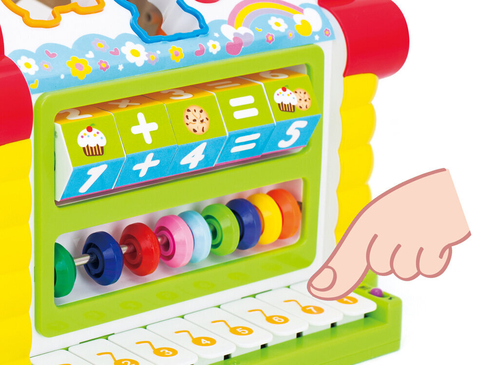 Hariduslik mitmeotstarbeline sorteerija, Hola цена и информация | Arendavad mänguasjad | kaup24.ee