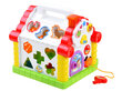 Hariduslik mitmeotstarbeline sorteerija, Hola hind ja info | Arendavad mänguasjad | kaup24.ee