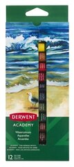 Akvarellvärvid Derwent Academy, 12 tk hind ja info | Kunstitarbed, voolimise tarvikud | kaup24.ee
