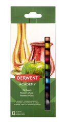 Õlipastellid Derwent Academy, 12 tk hind ja info | Kunstitarbed, voolimise tarvikud | kaup24.ee