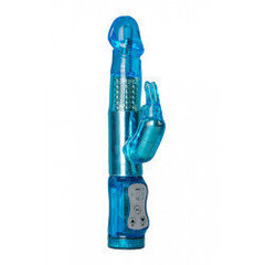 EasyToys Blue Rabbit Vibrator hind ja info | Vibraatorid | kaup24.ee