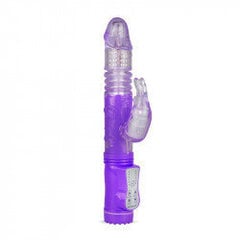 EasyToys Rabbit Vibrator - lilla цена и информация | Вибраторы | kaup24.ee