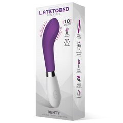 Benty Vibe Silicone Purple hind ja info | Vibraatorid | kaup24.ee