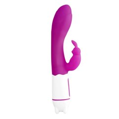 Tonny USB Vibrator G Spot 36 Functions Silicone Purple цена и информация | Вибраторы | kaup24.ee