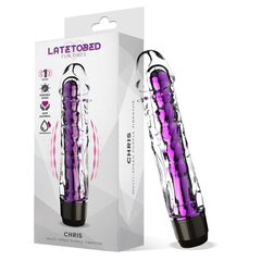 Chris Multi-Speed Vibe Purple цена и информация | Вибраторы | kaup24.ee