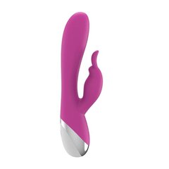 Dual Vibe with Rabbit USB Silicone Pink цена и информация | Вибраторы | kaup24.ee