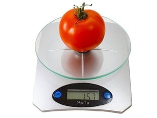 Кухонные весы, 5 кг цена и информация | Кухонные весы | kaup24.ee