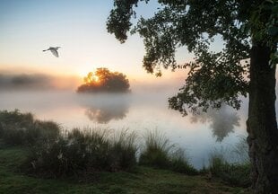 Consalnet Фотообои флизелиновые Nature 312x219 cm 14521VEXXL цена и информация | Фотообои | kaup24.ee