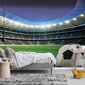 Consalnet Tapeedid Football 312 x 219 cm 14550VEXXL цена и информация | Fototapeedid | kaup24.ee