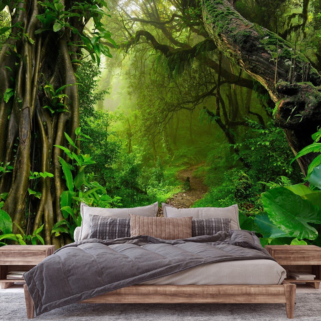 Consalnet Tapeedid Jungle 416x254 cm 14565VEXXXL hind ja info | Fototapeedid | kaup24.ee