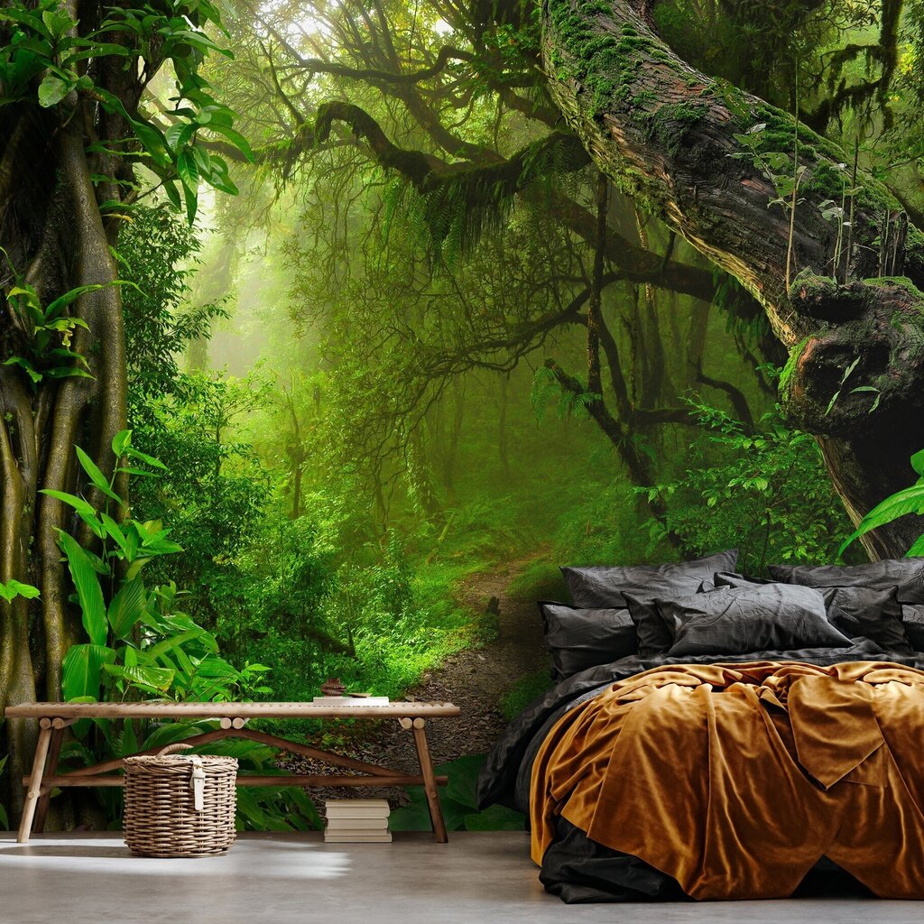 Consalnet Tapeedid Jungle 416x254 cm 14565VEXXXL hind ja info | Fototapeedid | kaup24.ee