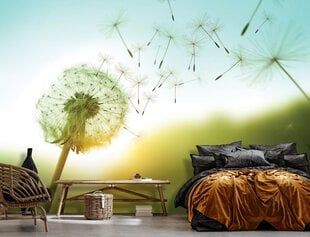 Consalnet Фотообои флизелиновые Dandelion 312 x 219 cm 14584VEXXL цена и информация | Фотообои | kaup24.ee