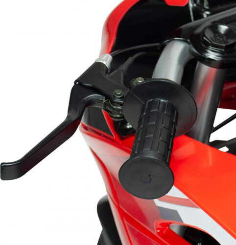 Injusa Motorbike Injusa Racing Fighter 24 V Red Black Electric цена и информация | Laste elektriautod | kaup24.ee