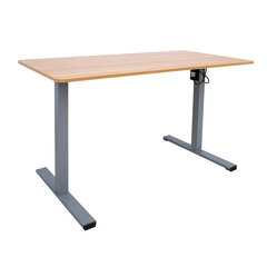 Письменный стол ERGO OPTIMAL с 1 мотором 120x60 см, дуб цена и информация | Компьютерные, письменные столы | kaup24.ee