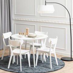 Обеденный стол Home4You Rogby D105, белый цена и информация | Кухонные и обеденные столы | kaup24.ee