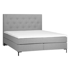 Bed LEONI 160x200cm, grey цена и информация | Кровати | kaup24.ee