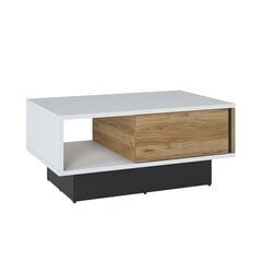 Coffee table SALINAS 100x64xH46cm цена и информация | Журнальные столики | kaup24.ee