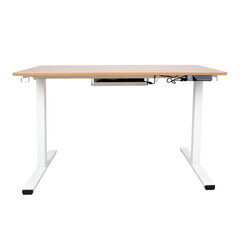 Письменный стол ERGO с 1 мотором 120x60xH73-121см, белый/дуб цена и информация | Компьютерные, письменные столы | kaup24.ee