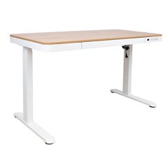 Письменный стол ERGO с 1 мотором 120x60xH72-121см, белый/дуб цена и информация | Компьютерные, письменные столы | kaup24.ee