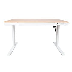 Письменный стол ERGO с 1 мотором 120x60xH72-121см, белый/дуб цена и информация | Компьютерные, письменные столы | kaup24.ee