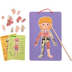 Tooky mänguasi, puidust magnetiline pusle Inimese anatoomiat õppiv 78el. hind ja info | Lauamängud ja mõistatused | kaup24.ee