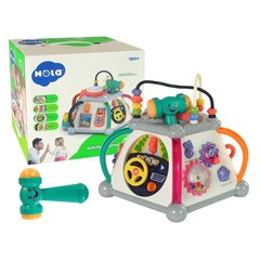 Multifunctional cube for a baby цена и информация | Игрушки для малышей | kaup24.ee