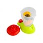 Set of Vegetables and Fruits with a Battery Blender and a Tray hind ja info | Tüdrukute mänguasjad | kaup24.ee