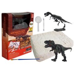 Dinosaur Tyrannosaurus Rex Excavation Set цена и информация | Игрушки для мальчиков | kaup24.ee