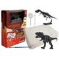 Dinosaur Tyrannosaurus Rex Excavation Set hind ja info | Poiste mänguasjad | kaup24.ee