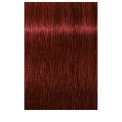 Краска для волос Schwarzkopf Professional Igora Royal 60 мл, 5-88 Light Extra Red Brown цена и информация | Краска для волос | kaup24.ee