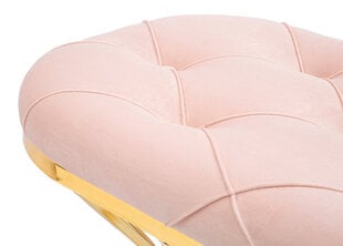 Esikupink Pink Zig, roosa цена и информация | Полки для обуви, банкетки | kaup24.ee