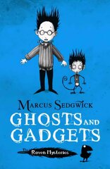 Raven Mysteries: Ghosts and Gadgets: Book 2 hind ja info | Noortekirjandus | kaup24.ee