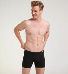 Triumph Sloggi meeste püksikud, 4 paari hind ja info | Meeste aluspesu | kaup24.ee