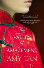 Valley of Amazement цена и информация | Фантастика, фэнтези | kaup24.ee