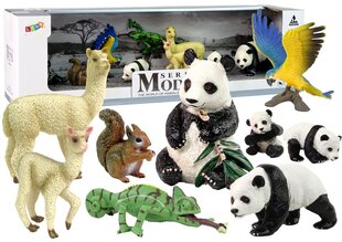 Комплект фигурок диких животный, 9 шт. цена и информация | Игрушки для девочек | kaup24.ee