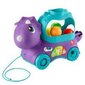 Fisher Price mänguasi dinosaurus цена и информация | Imikute mänguasjad | kaup24.ee