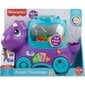 Fisher Price mänguasi dinosaurus цена и информация | Imikute mänguasjad | kaup24.ee