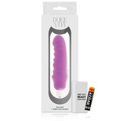 Vibraator Dolce Vita Genius, lilla hind ja info | Vibraatorid | kaup24.ee