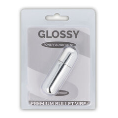 GLOSSY PREMIUM BULLET VIBE SILVER 10V цена и информация | Вибраторы | kaup24.ee