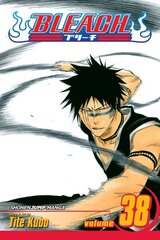 Bleach, Vol. 38: Fear for Fight hind ja info | Fantaasia, müstika | kaup24.ee