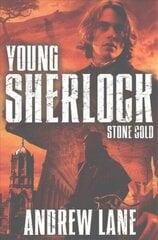 Stone Cold Unabridged edition hind ja info | Noortekirjandus | kaup24.ee