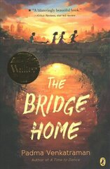 Bridge Home цена и информация | Книги для подростков и молодежи | kaup24.ee