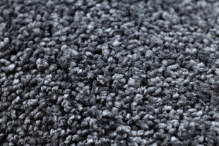 Rugsx ковровая дорожка Santa Fe 97, 80x470 см цена и информация | Ковры | kaup24.ee