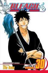 Bleach, Vol. 30: There Is No Heart Without You, v. 30 цена и информация | Фантастика, фэнтези | kaup24.ee