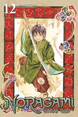 Noragami Volume 12, 12 цена и информация | Фантастика, фэнтези | kaup24.ee