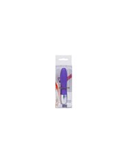 SEVENCREATIONS DISCRETION VIBRATOR PURPLE цена и информация | Вибраторы | kaup24.ee