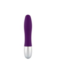 SEVENCREATIONS DISCRETION VIBRATOR PURPLE цена и информация | Вибраторы | kaup24.ee