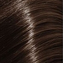 Краска для волос Schwarzkopf Igora Royal Take Over Dusted Rouge, цвет 6.491, 60 мл цена и информация | Краска для волос | kaup24.ee