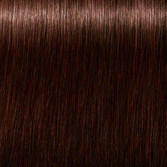 Стойкая краска для седых волос Schwarzkopf Igora Royal Absolutes, цвет 4.50, 60 мл цена и информация | Краска для волос | kaup24.ee